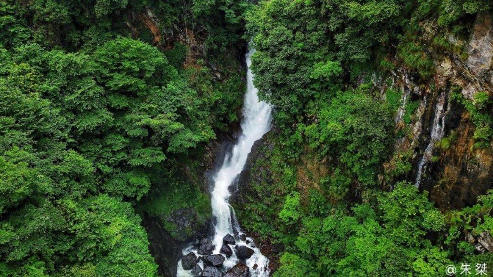 小红帽的冒险之旅